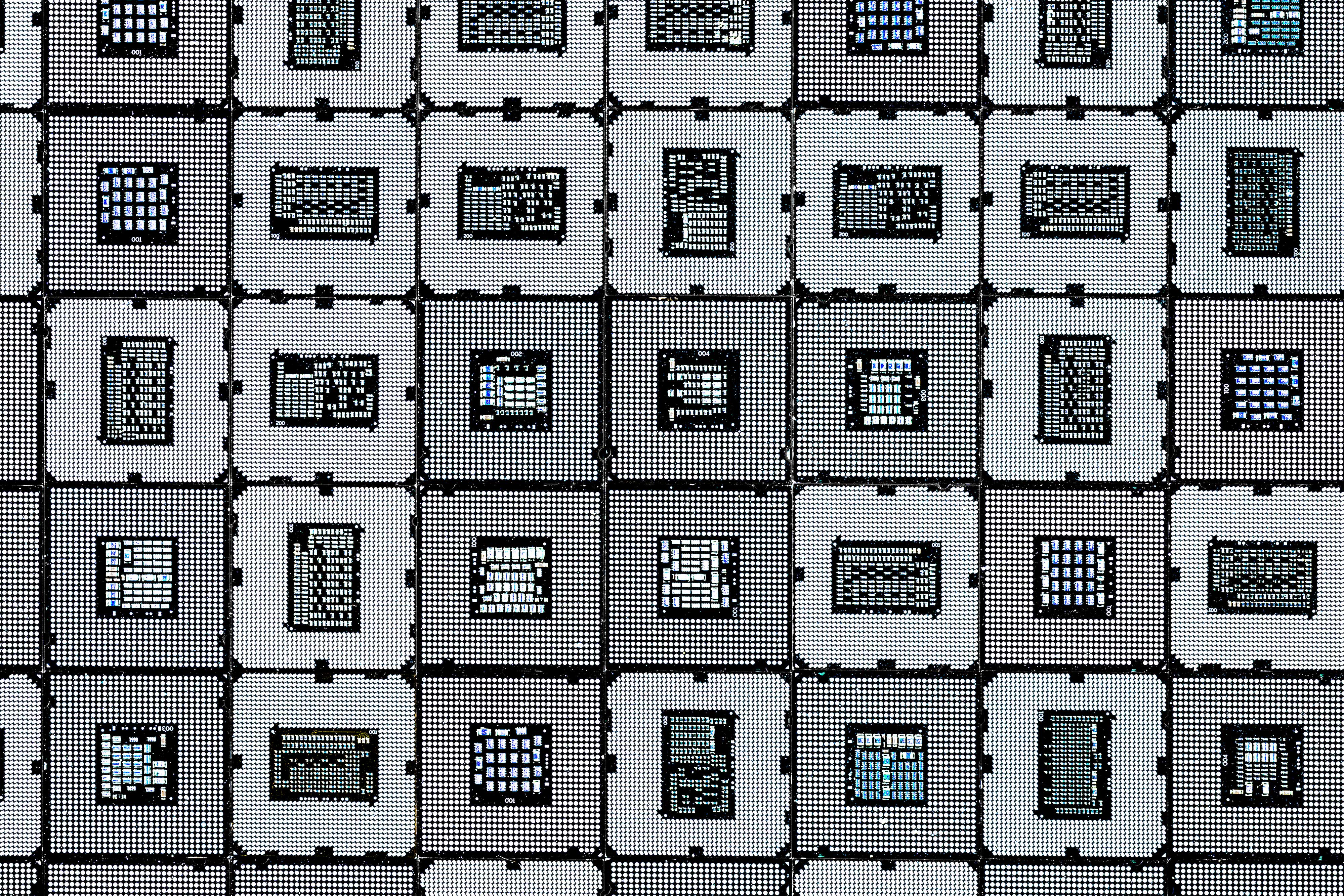 CPU (DETAIL)